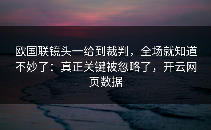 欧国联镜头一给到裁判，全场就知道不妙了：真正关键被忽略了，开云网页数据